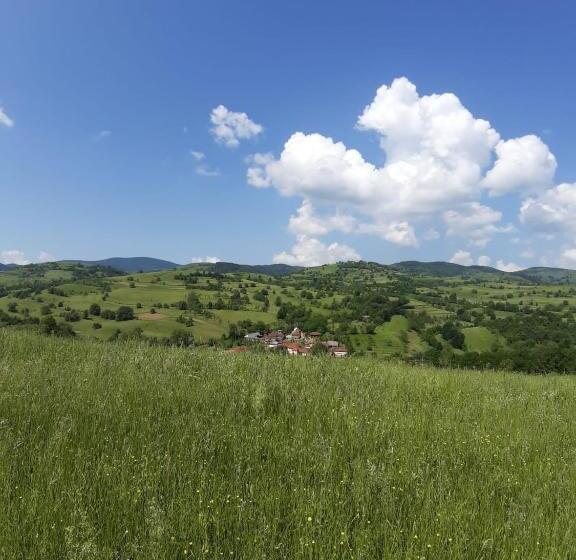 膳宿费 Casa Izbuc