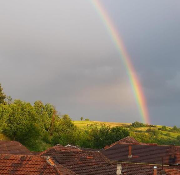 膳宿费 Casa Izbuc