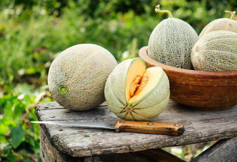 بنسيون Les Vieilles Pierres