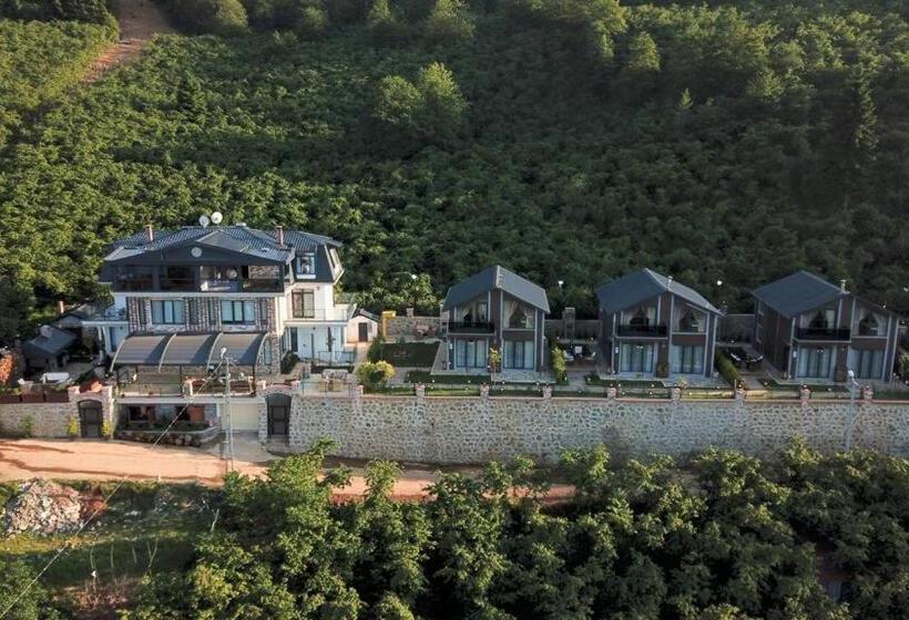 Poison Garden Sui̇te