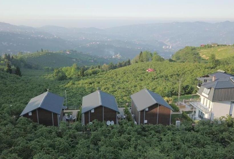 Poison Garden Sui̇te