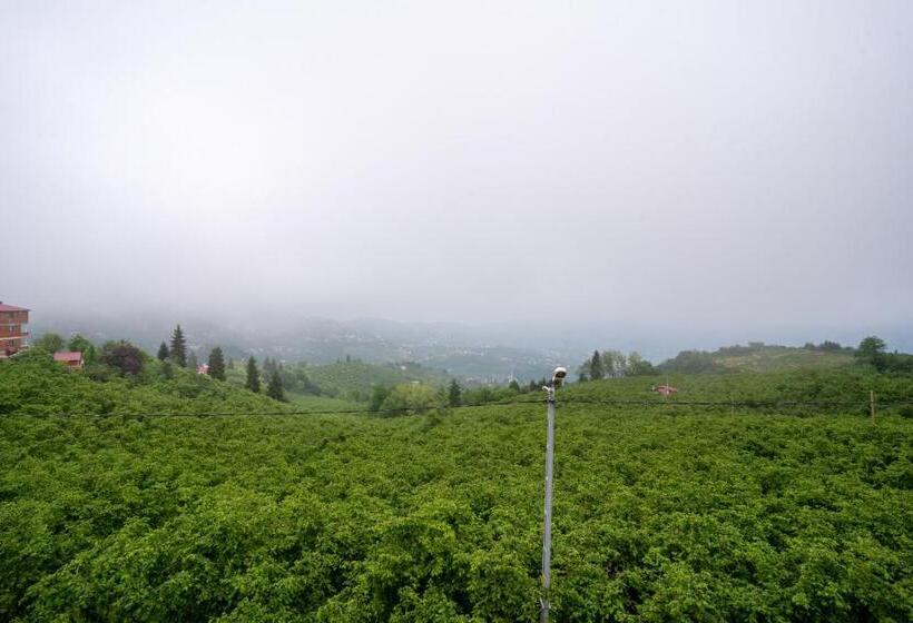 Poison Garden Sui̇te