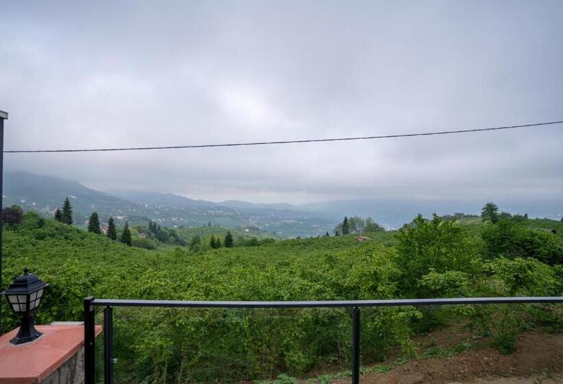 Poison Garden Sui̇te