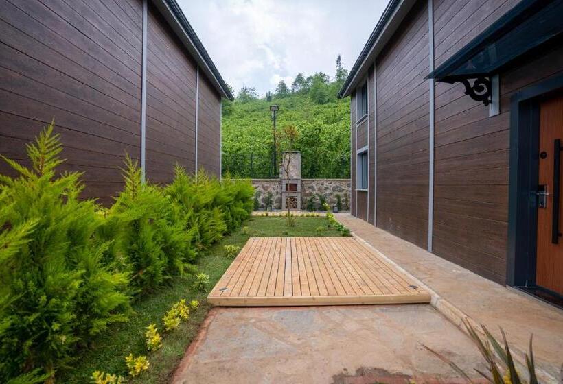 Poison Garden Sui̇te