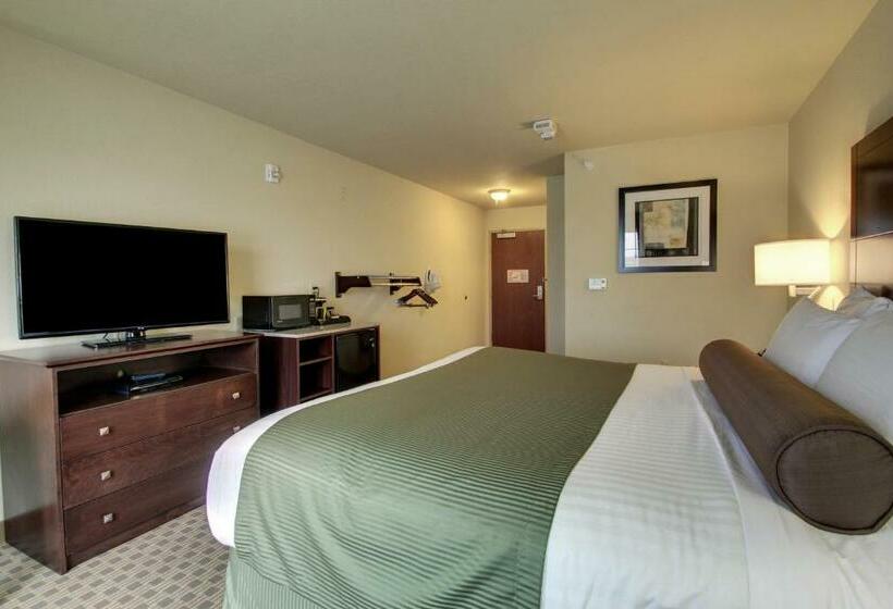 Cobblestone Hotel & Suites Waynesboro