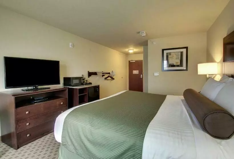 Cobblestone Hotel & Suites   Waynesboro