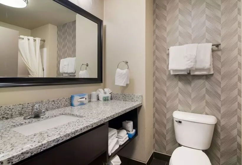 ホテル Best Western Roosevelt Place