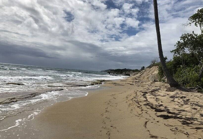 هتل Blue Horizon Boutique Resort