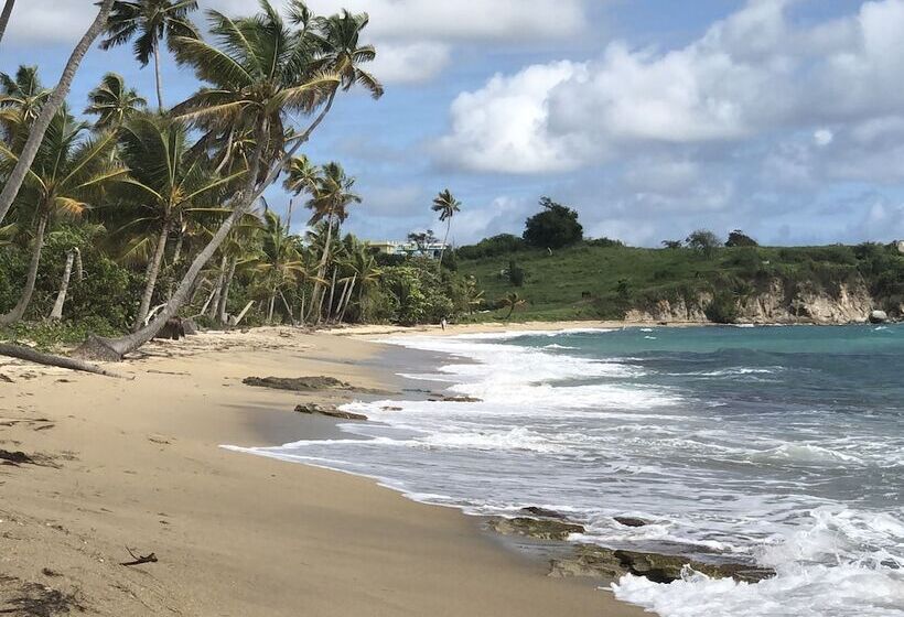 هتل Blue Horizon Boutique Resort