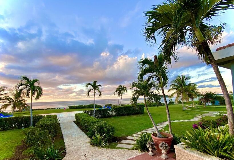 هتل Blue Horizon Boutique Resort