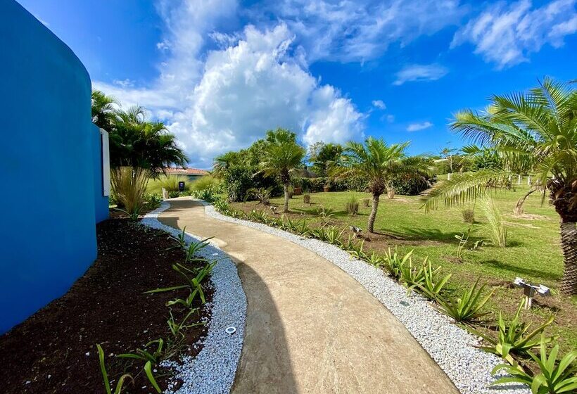 هتل Blue Horizon Boutique Resort