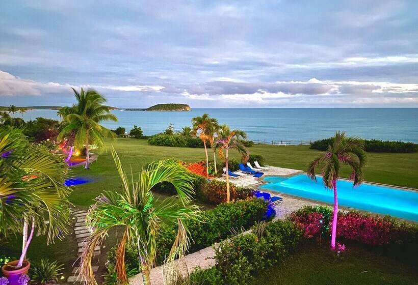 هتل Blue Horizon Boutique Resort