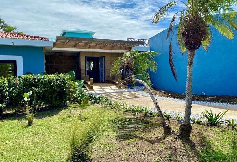 هتل Blue Horizon Boutique Resort