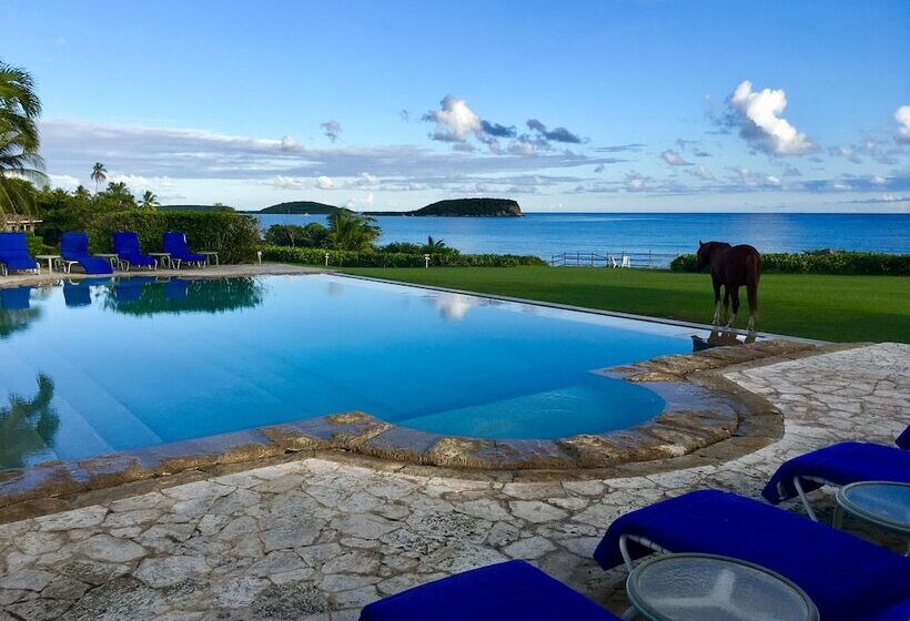 هتل Blue Horizon Boutique Resort