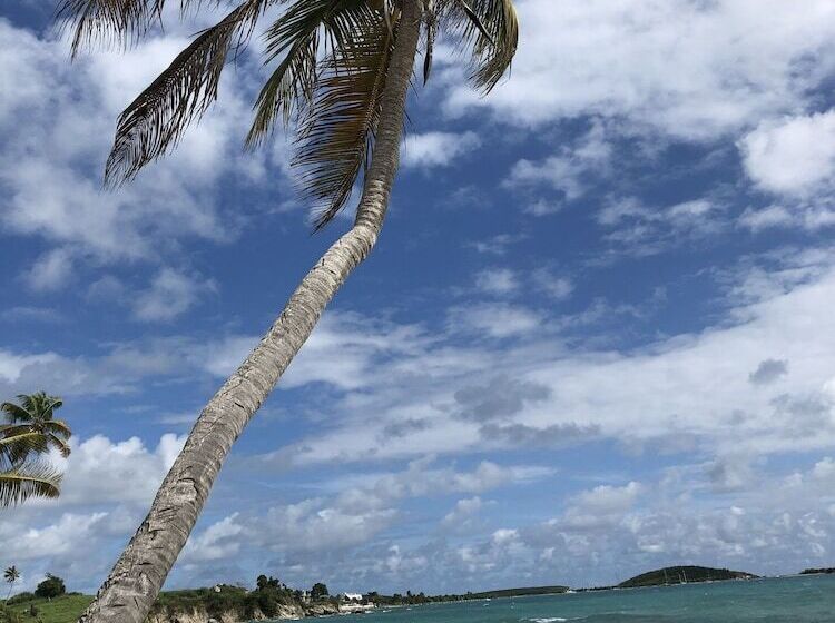 هتل Blue Horizon Boutique Resort