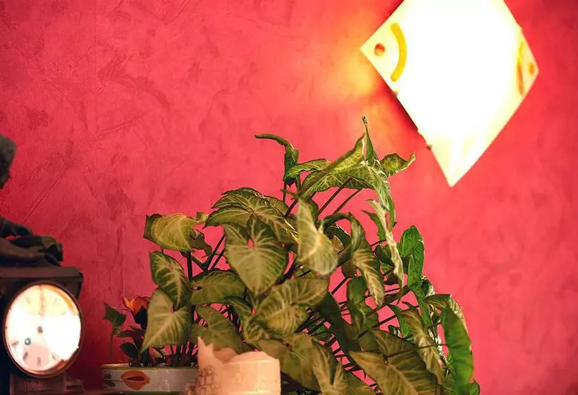 ホテル Hôtel Chez Felix