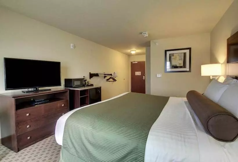 Cobblestone Hotel & Suites   Waynesboro