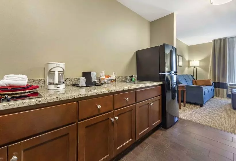 בית מלון כפרי Comfort Suites Bridgeport Clarksburg