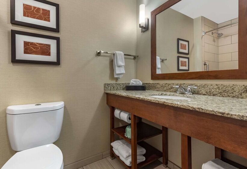 בית מלון כפרי Comfort Suites Bridgeport Clarksburg