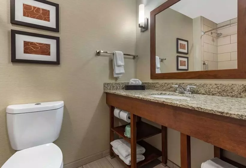 בית מלון כפרי Comfort Suites Bridgeport Clarksburg