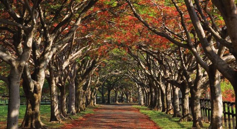 酒店 Fasano Boa Vista