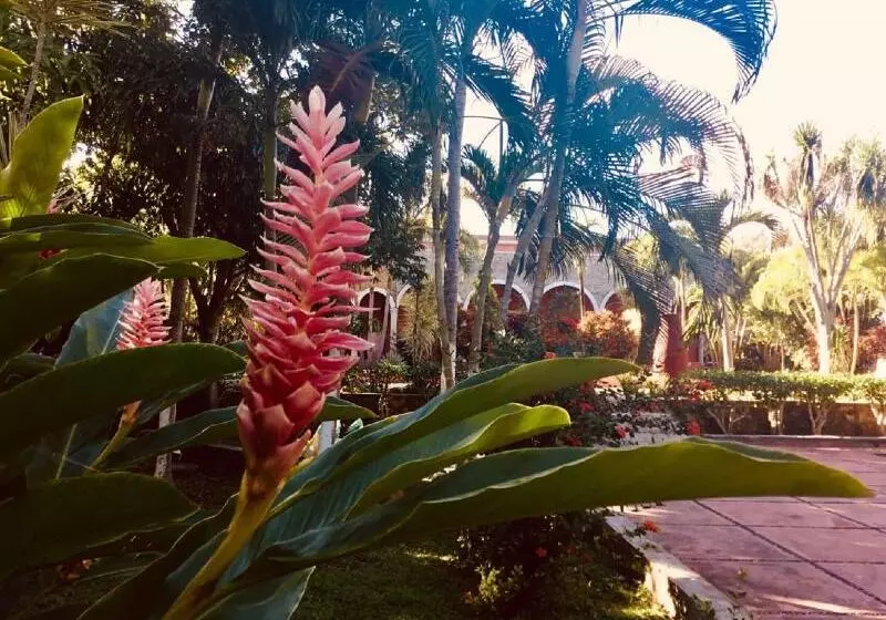 Отель Hacienda Sacnicte