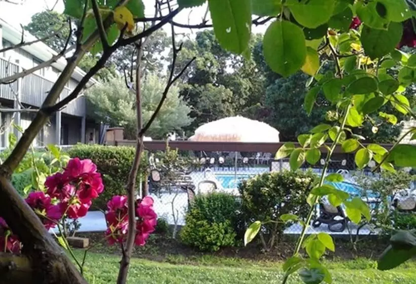 ホテル Kenny's Tipperary Inn