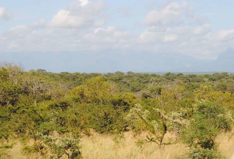 ホテル Thornybush Waterside Lodge