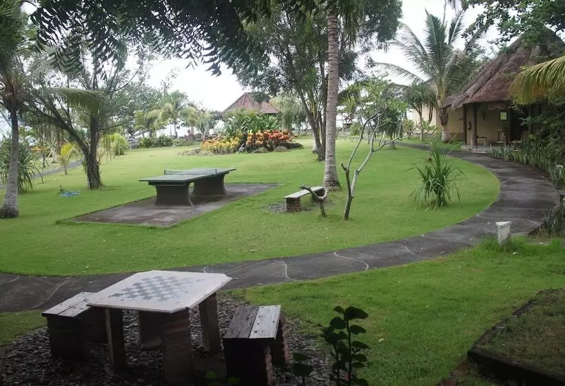 酒店 Uyah Amed Spa Resort