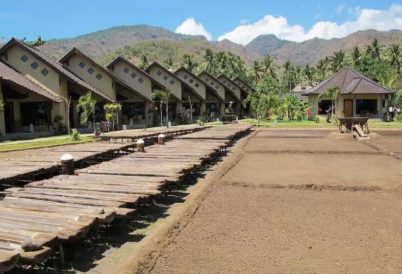 酒店 Uyah Amed Spa Resort