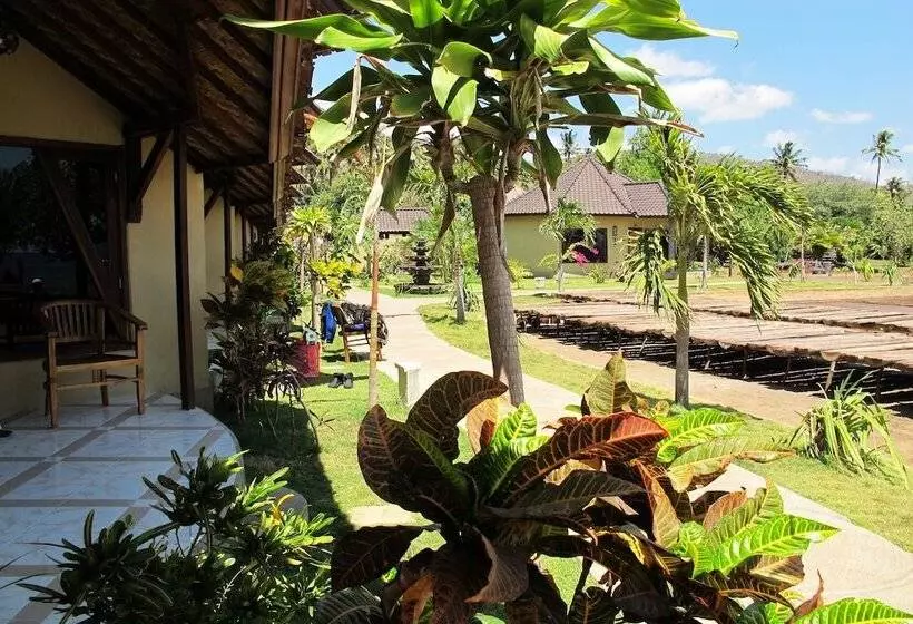 酒店 Uyah Amed Spa Resort