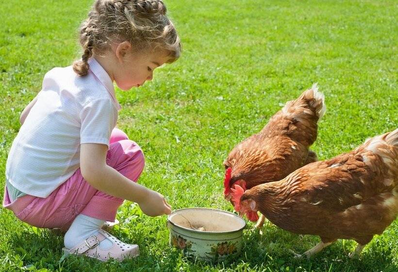 Peppermint Brook Cottages