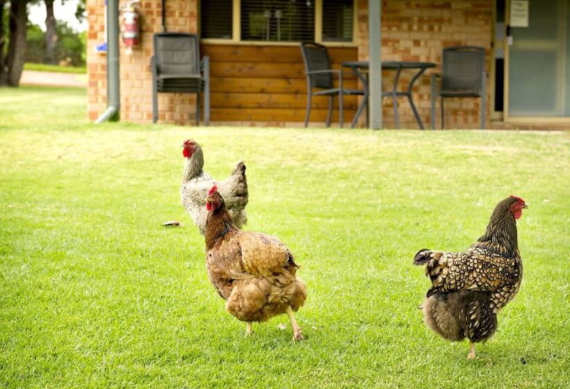 Peppermint Brook Cottages