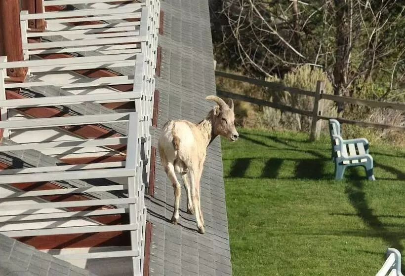 호텔 Absaroka Lodge