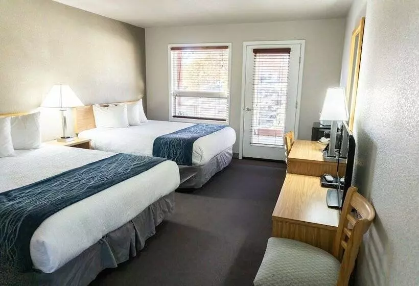 호텔 Absaroka Lodge