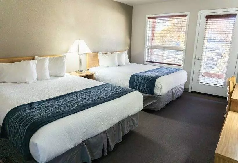 호텔 Absaroka Lodge