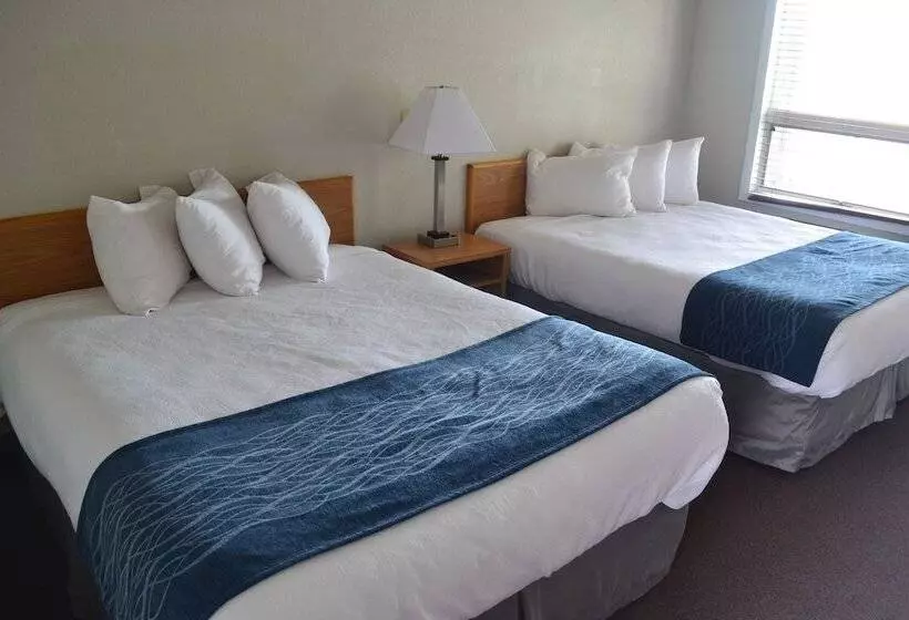 호텔 Absaroka Lodge