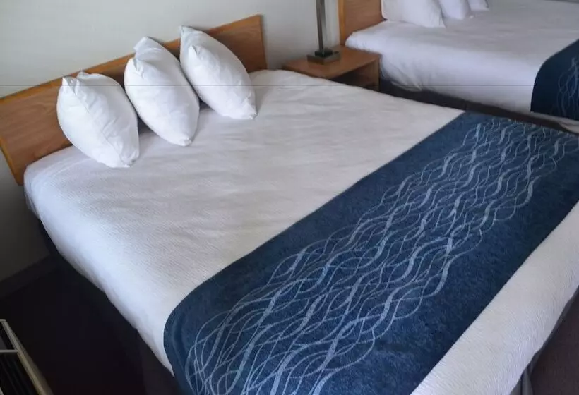 호텔 Absaroka Lodge