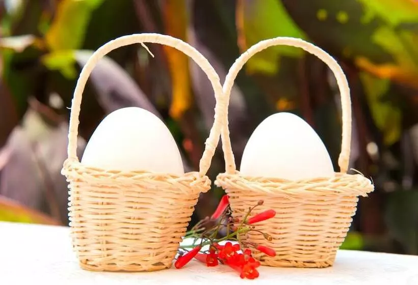 Alacati Kostem Hotel Special Category