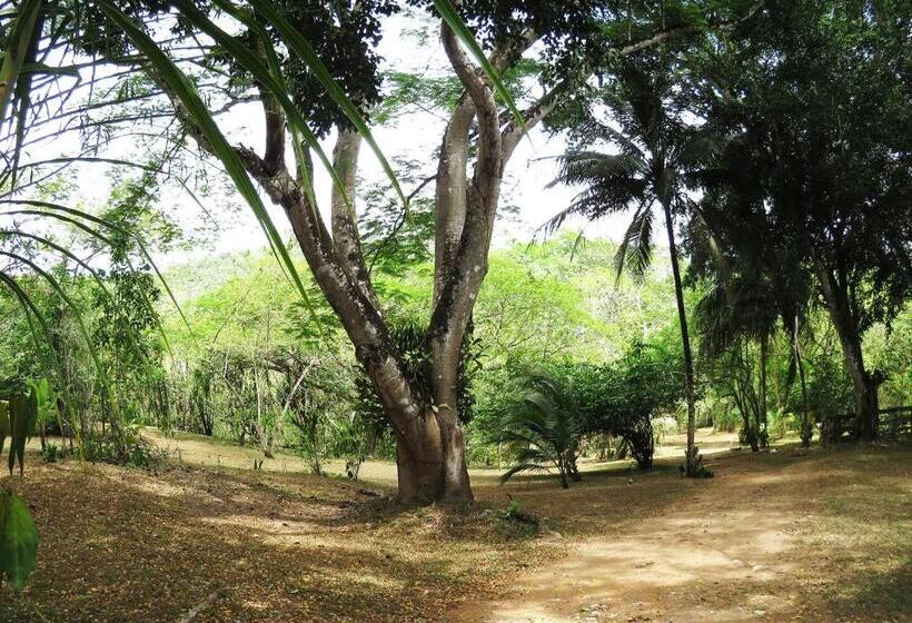 בית מלון כפרי Crystal Paradise Resort