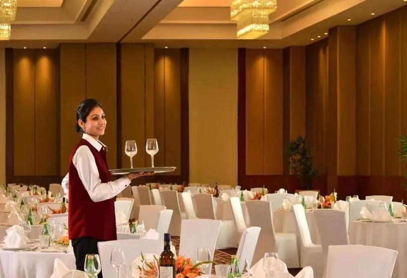 Hotel Park Plaza Chandigarh Zirakpur