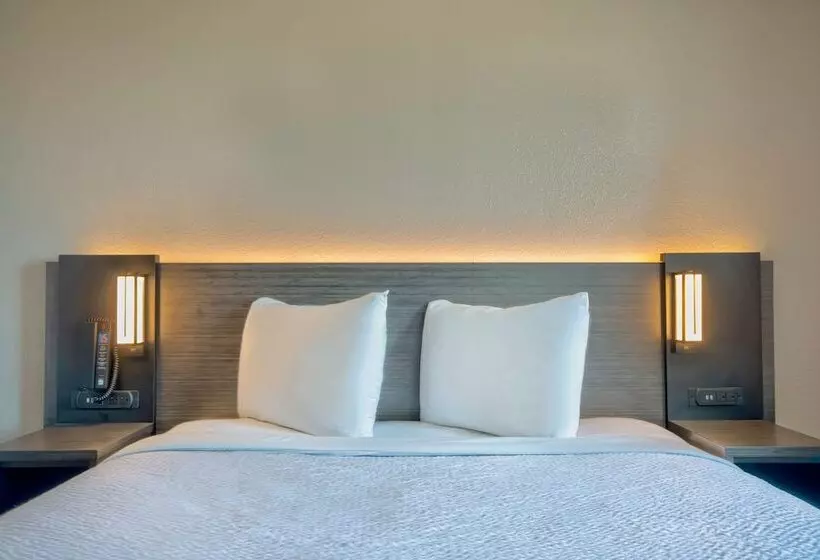 Motel 6harlingen, Tx