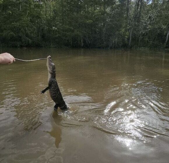 모텔 Red Roof Inn Slidell