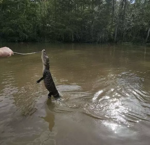 汽车旅馆 Red Roof Inn Slidell