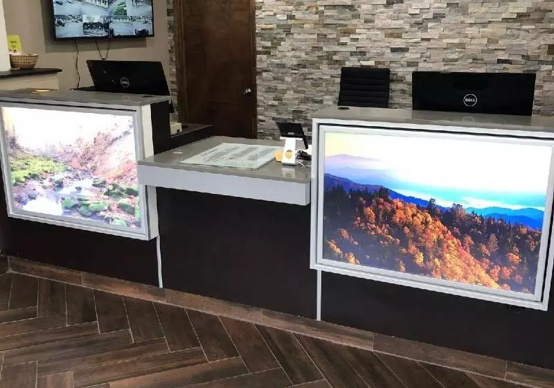 Motel Super 8 By Wyndham Asheville/biltmore