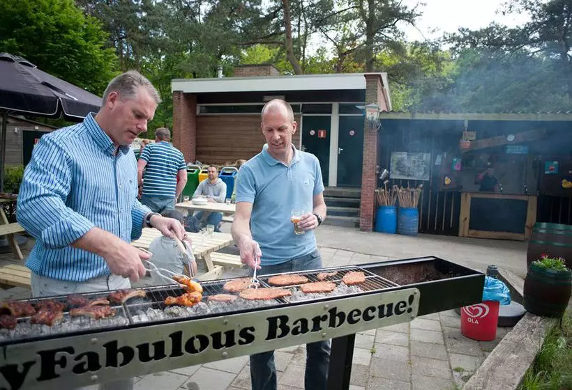 Alberg Stayokay Bergen Op Zoom De Brabantse Wal