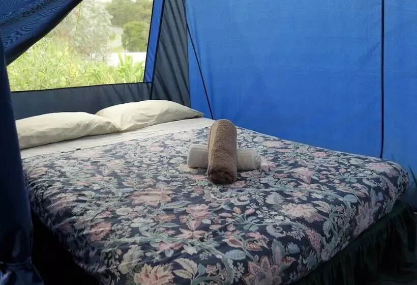 호텔 Russell   Orongo Bay Holiday Park