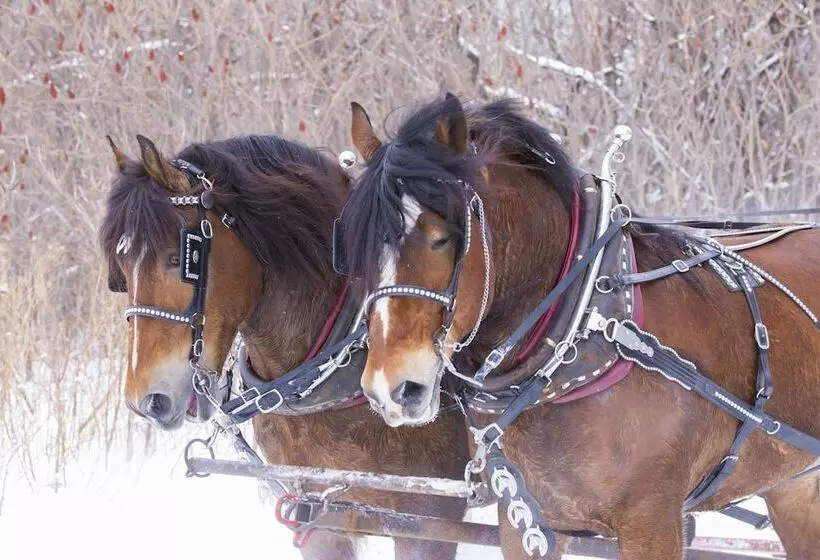 Otel The Inn At Thorn Hill