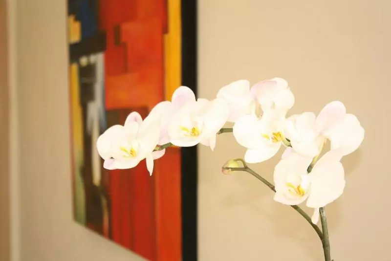 リゾートホテル Mahamaya Gili Meno