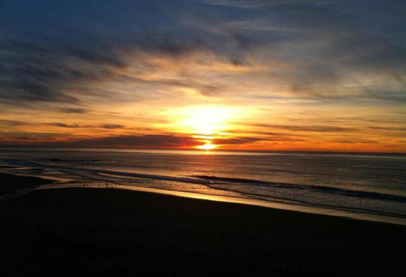 فندق على الطريق Sandcastle Beachfront